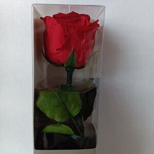Verdissimo Real Preserved Forever Rose